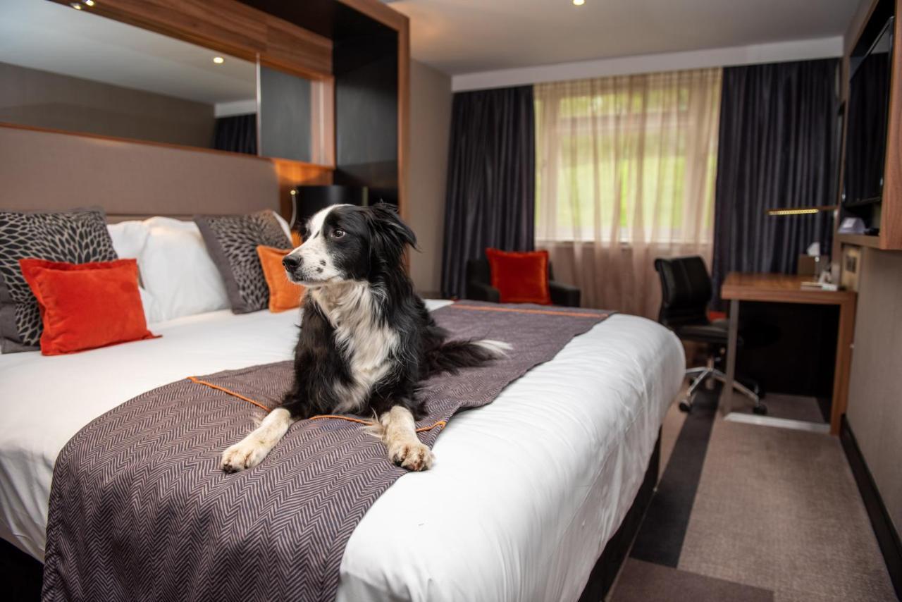 Crowne Plaza Gerrards Cross By Ihg Hotel Beaconsfield Kültér fotó